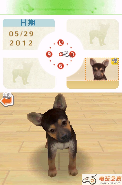 任天狗吉娃娃&腊肠犬和伙伴们 完美中文版合集下载 截图