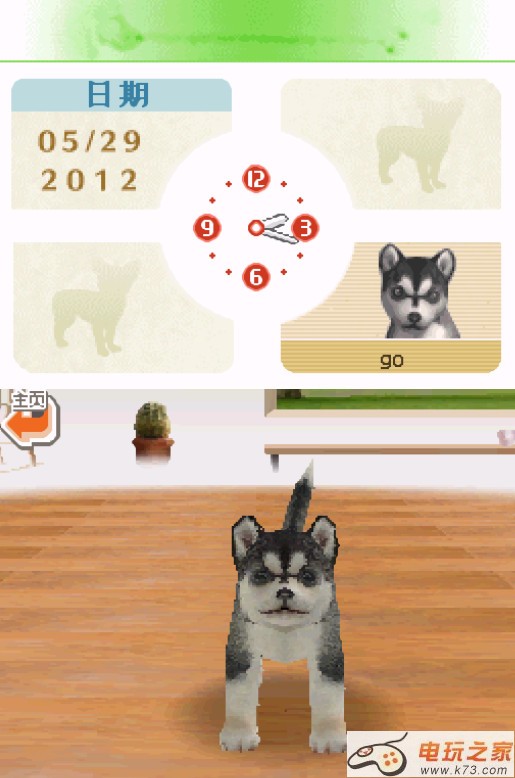 任天狗吉娃娃&腊肠犬和伙伴们 完美中文版合集下载 截图