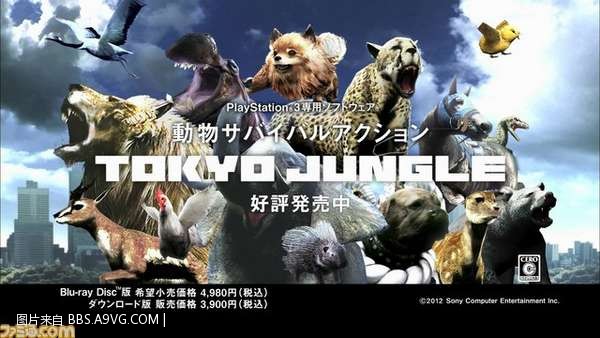 东京丛林中文版下载_东京丛林攻略_东京丛林