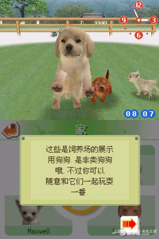 任天狗 中文版合集下载【吉娃娃、拉布拉多犬、腊肠犬】 截图