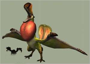 怪物猎人P3彩鸟详细资料及打法