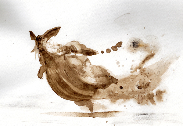 怪物猎人P3白兔兽详细资料及打法