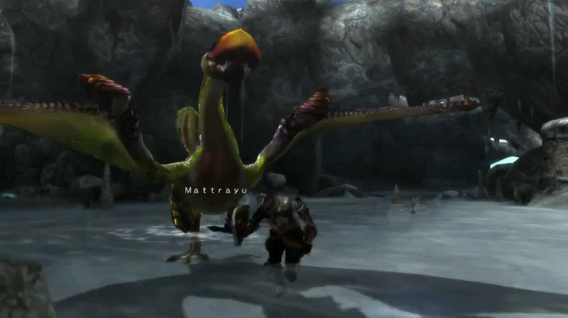 怪物猎人3G WiiU&3DS联机狩猎彩鸟视频