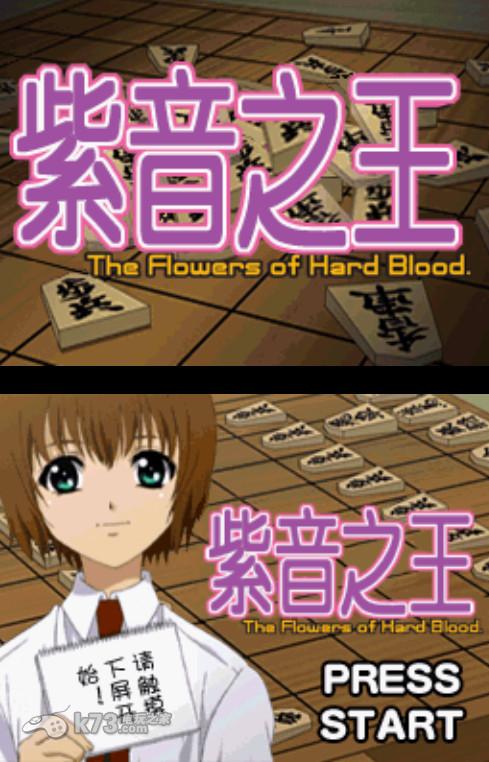 紫音之王ds完美汉化版下载 截图