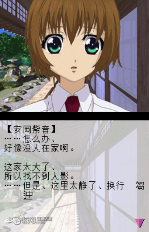 紫音之王ds完美汉化版下载 截图