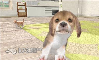 任天猫狗黄金猎犬与新伙伴 美版下载 截图