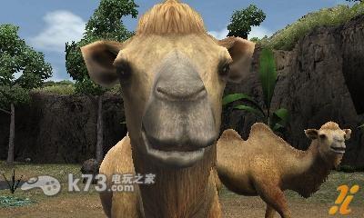 动物园胜地创造动物园 欧版下载 截图