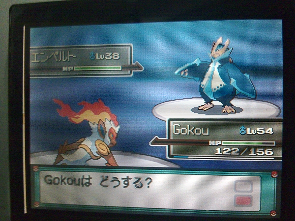 企鹅皇\/烈火猴\/巨树龟