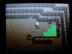 口袋妖怪白金殿元山怎么走