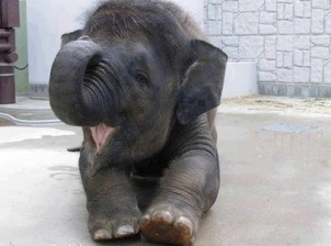 3每日吐槽二十三期】为省钱男子自己割包皮_