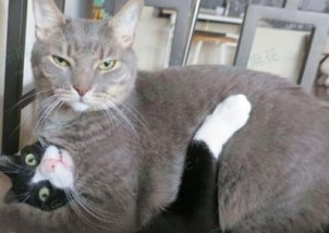 3每日吐槽二十三期】为省钱男子自己割包皮_