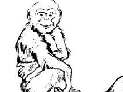 看图猜成语一只猴子与火答案