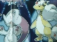 《口袋妖怪xy》超进化mega杂志图
