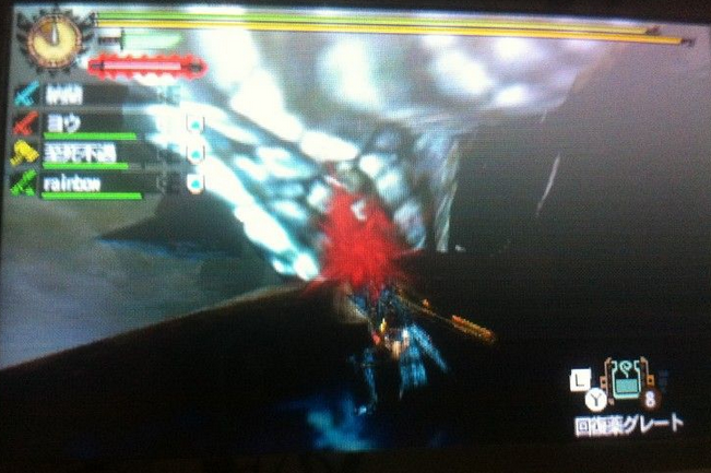 怪物猎人4采集任务心得