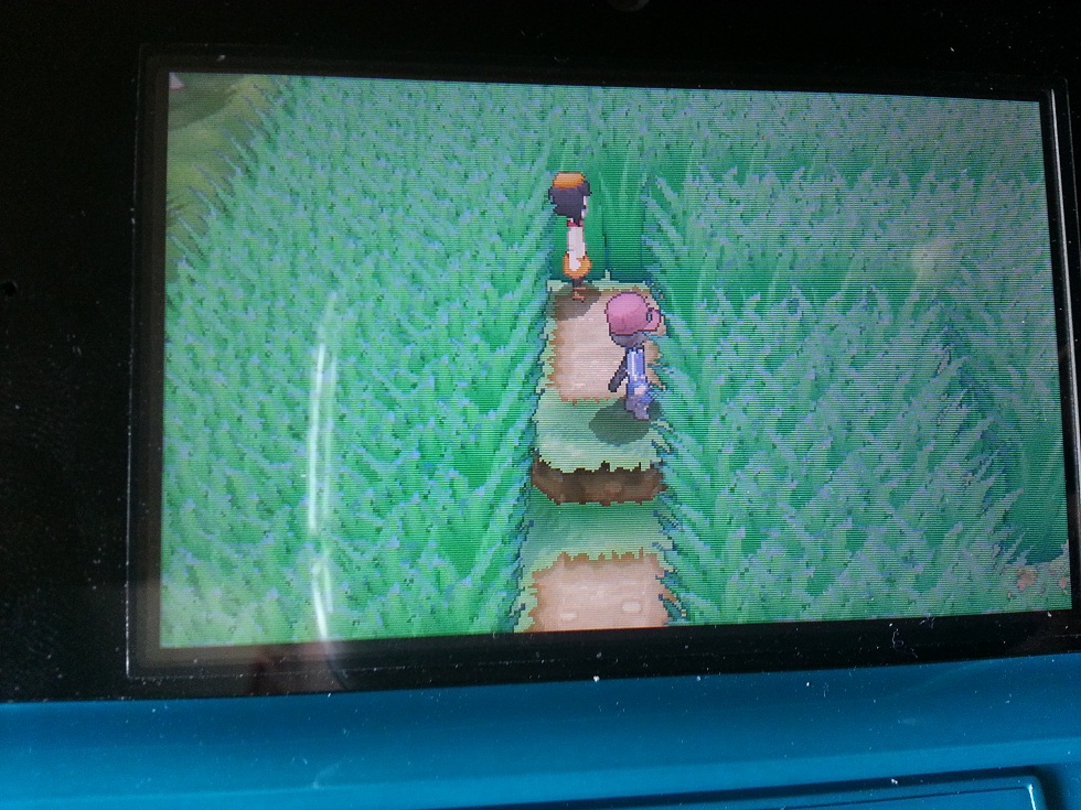 口袋妖怪xy皮卡丘、小火龙抓法