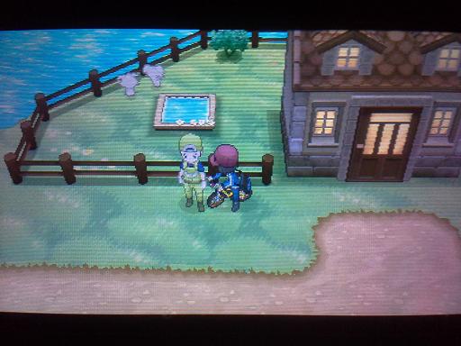 口袋妖怪xy孵蛋系统详解