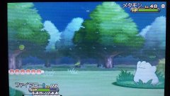 口袋妖怪xy连锁心得