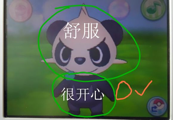 口袋妖怪XY全PM培育、抚摸方法