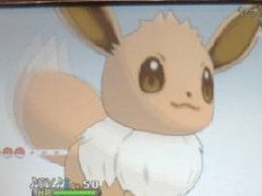 口袋妖怪xy超级训练对应进化石