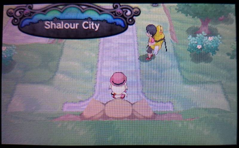 口袋妖怪xy可群战PM整理