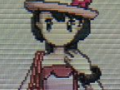 口袋妖怪xy熊猫帽和特殊洋服拿法