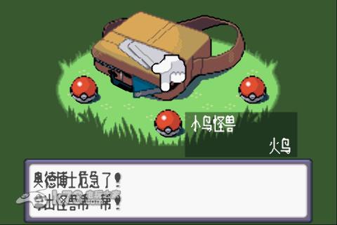 口袋妖怪红宝石386 中文版 截图