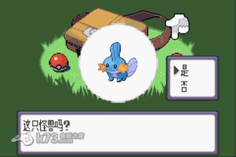 口袋妖怪红宝石386 中文版 截图