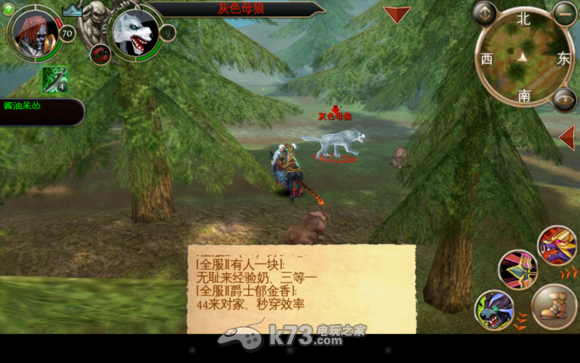 混沌与秩序 无上荣耀之石 - 猎杀稀有之血图文